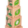 Baby, Toddler & Preschool Toys The Freckled Frog | Freckled Frog - Lifecycle Wooden Blocks